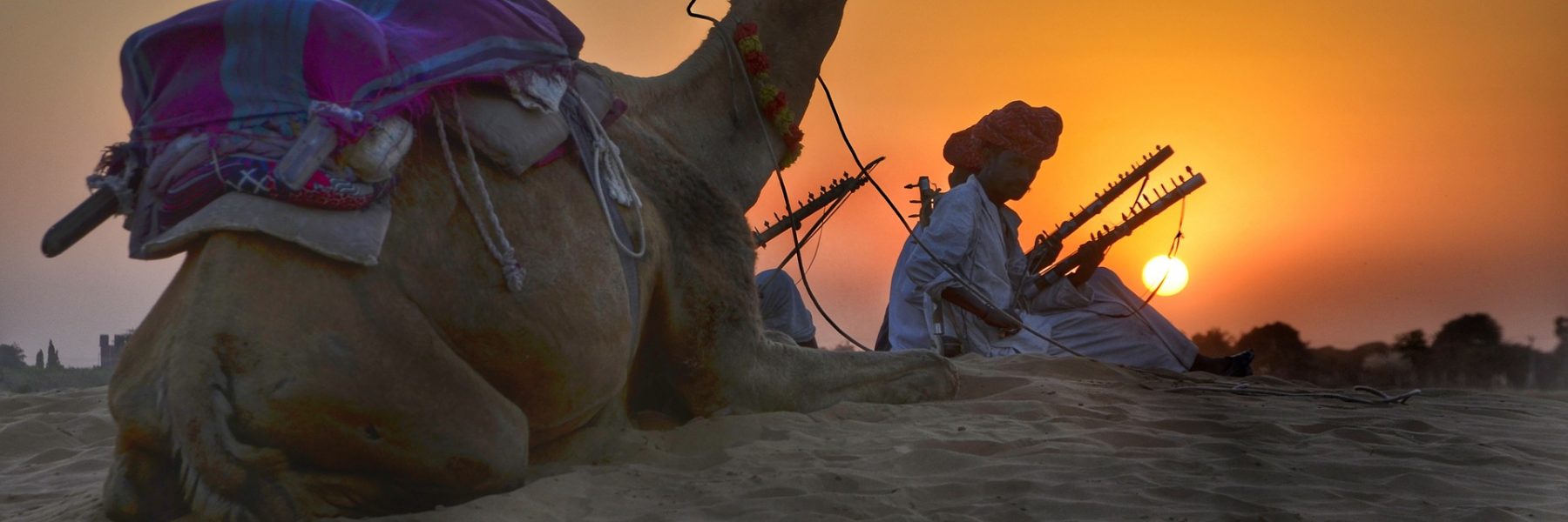 ROYAL INDIA RESTAURANT AND BAR